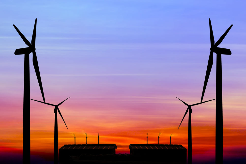 Carbon Neutral Orders: Save the Planet While You Shop