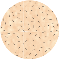 Faux Fur Lining